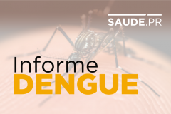 O Paraná aponta hoje 102,08 casos de dengue autóctones por 100 mil habitantes, incidência que confirma situação de alerta de epidemia no Estado. O dado está no boletim que monitora a doença e foi divulgado nesta terça-feira (4) pela Secretaria Estadual da Saúde