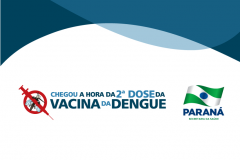 Governo lança campanha para segunda dose da vacina contra a dengue